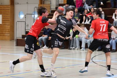 NLB: TVB-Pfadi
